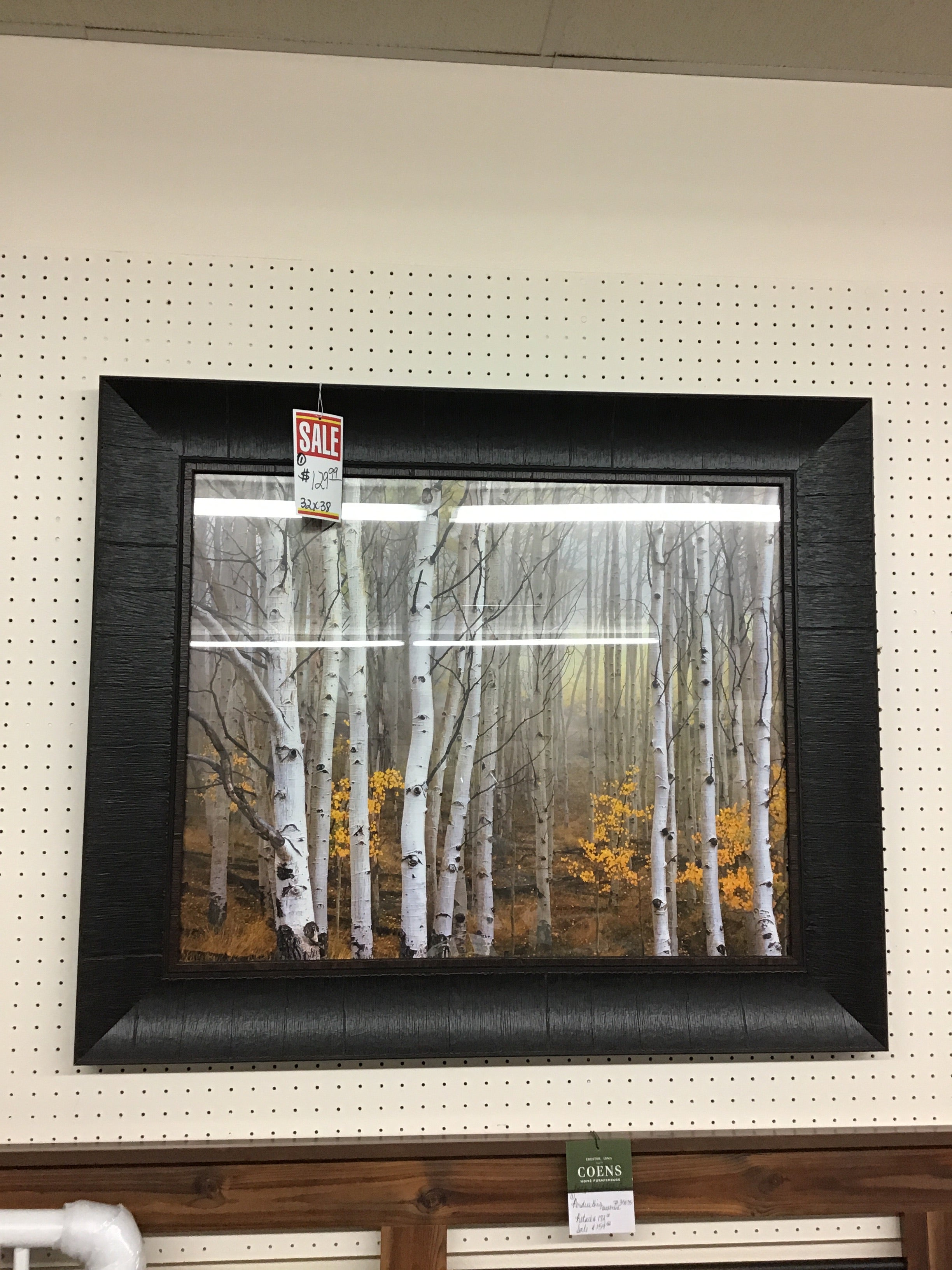 Aspen in Fog Wall Art by Art Effects